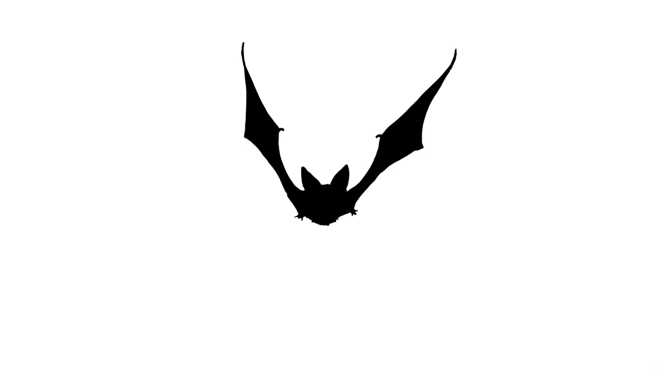 bats-animated-gifs-gameznet 05.gif